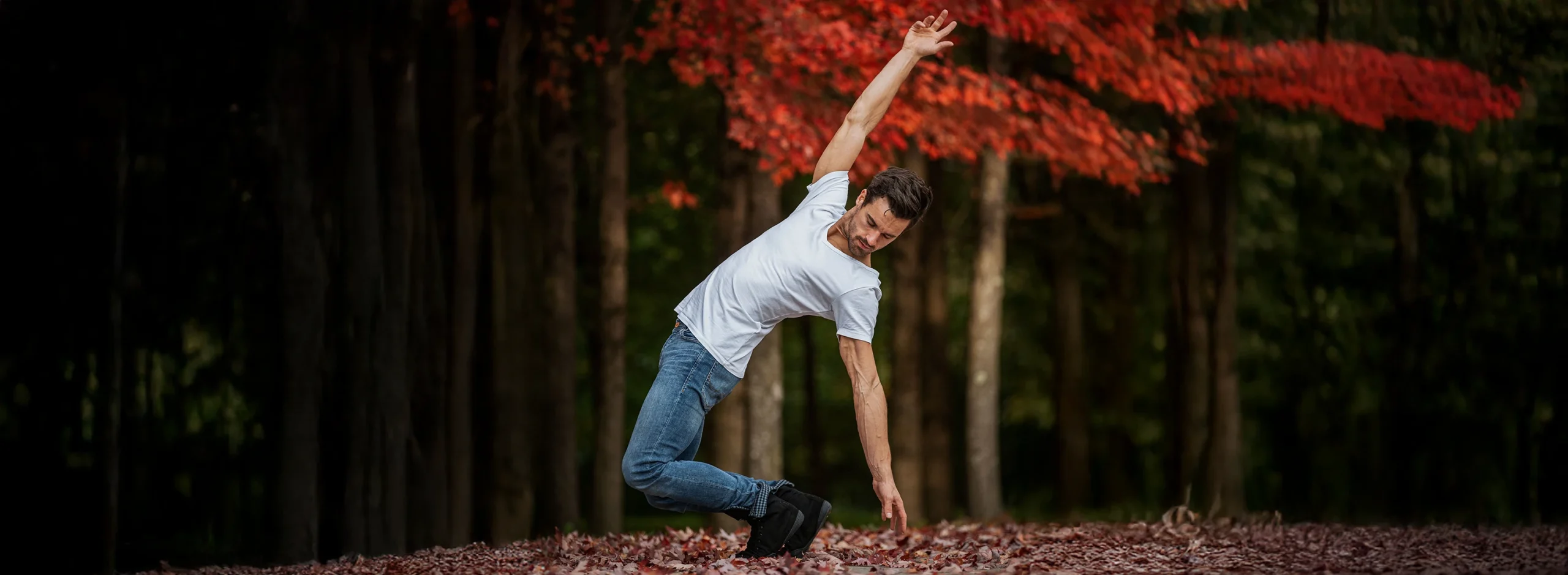 Anatomy in Motion Workshop mit Nils von Münster-Kistner, YOGALIFE Graz