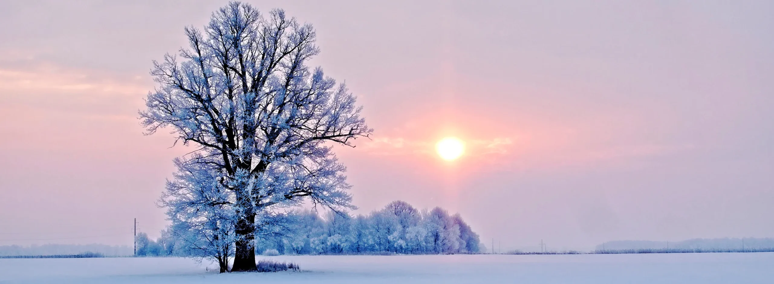 108 Sonnengrüße und Mantra singen