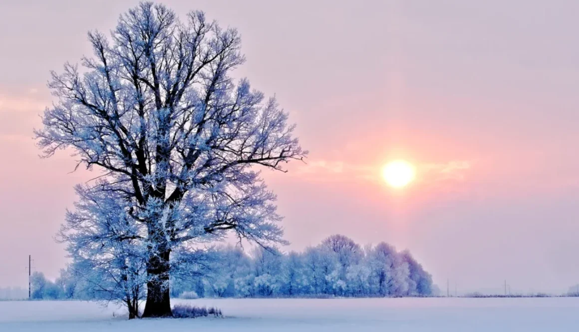 108 Sonnengrüße und Mantra singen