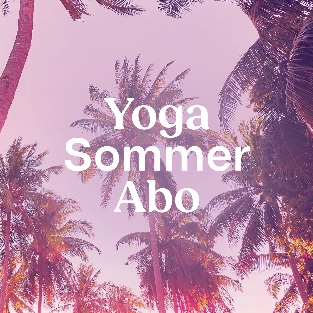 Entdecke das Yoga Sommerabo 2026 für Entspannung unter Palmen bei YOGALIFE Graz. | © YOGALIFE Graz