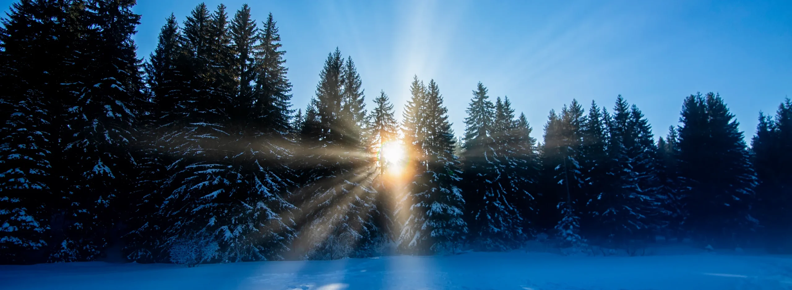 Der Zauber des Neubeginns Der Zauber des Neubeginns