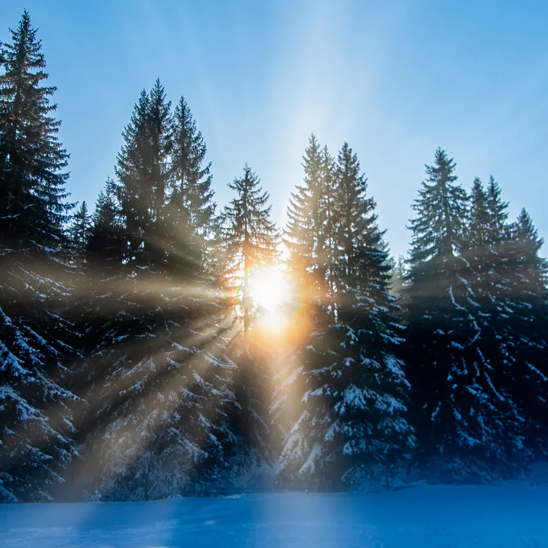 Der Zauber des Neubeginns Der Zauber des Neubeginns