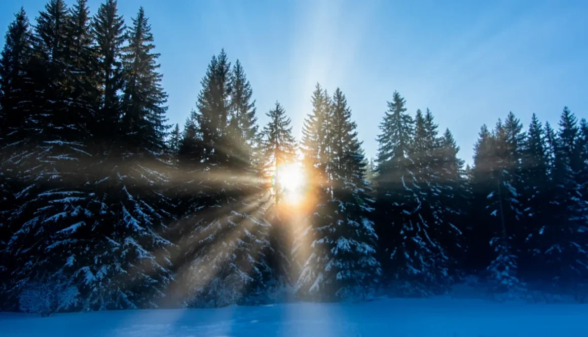 Der Zauber des Neubeginns