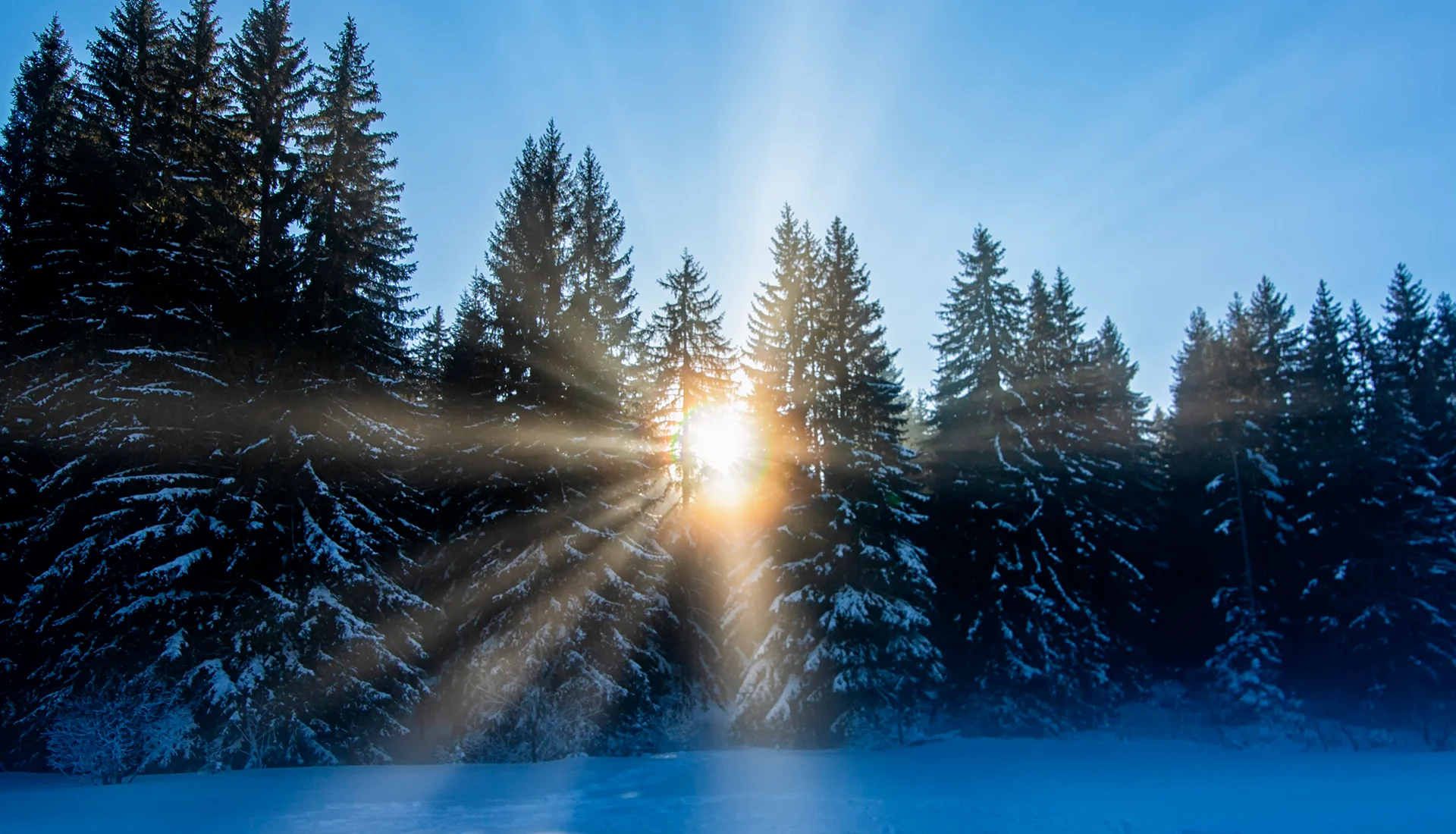 Der Zauber des Neubeginns