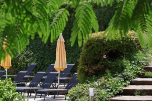 Durch das dichte Grün der Albizia-Bäume blickt man auf eine sonnige Terrasse mit Liegestühlen und gelben Sonnenschirmen.