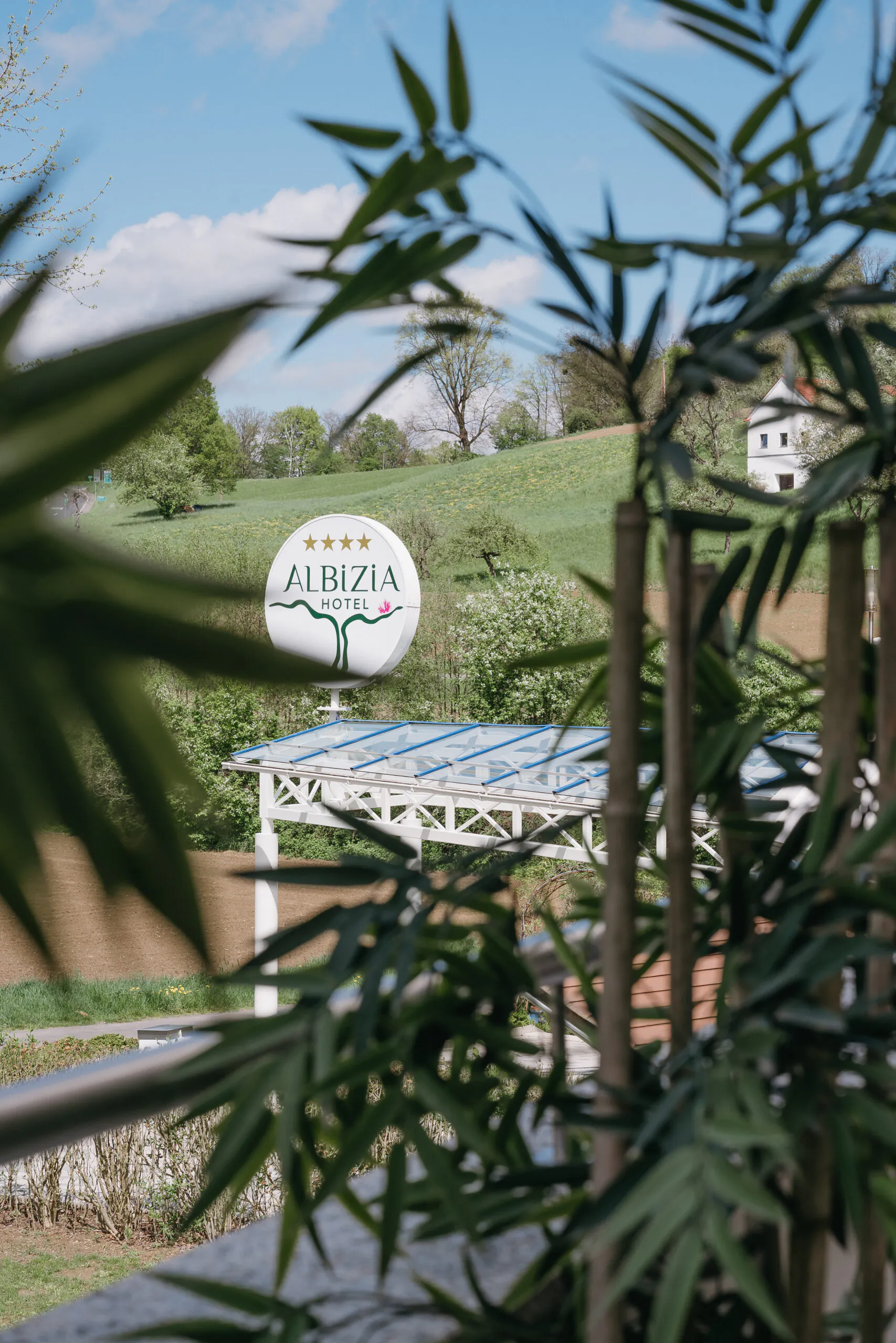 Durch Bambusblätter sieht man das Albizia-Hotel-Schild und eine grüne Landschaft unter klarem Himmel.