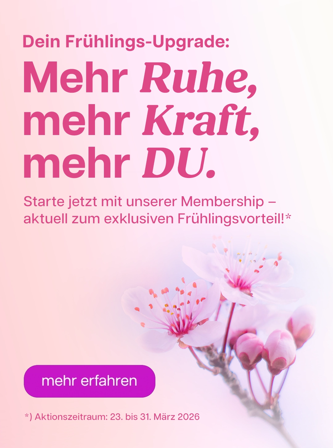 Frühlingserwachen mit blühenden Blumen und einem Angebot für mehr Ruhe und Kraft bei YOGALIFE Graz.