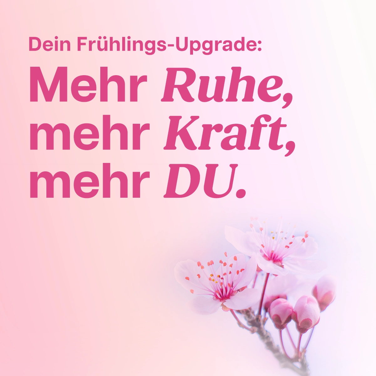 Frühlingsangebot: Entdecke mehr Ruhe und Kraft für dich mit YOGALIFE in Graz | © YOGALIFE