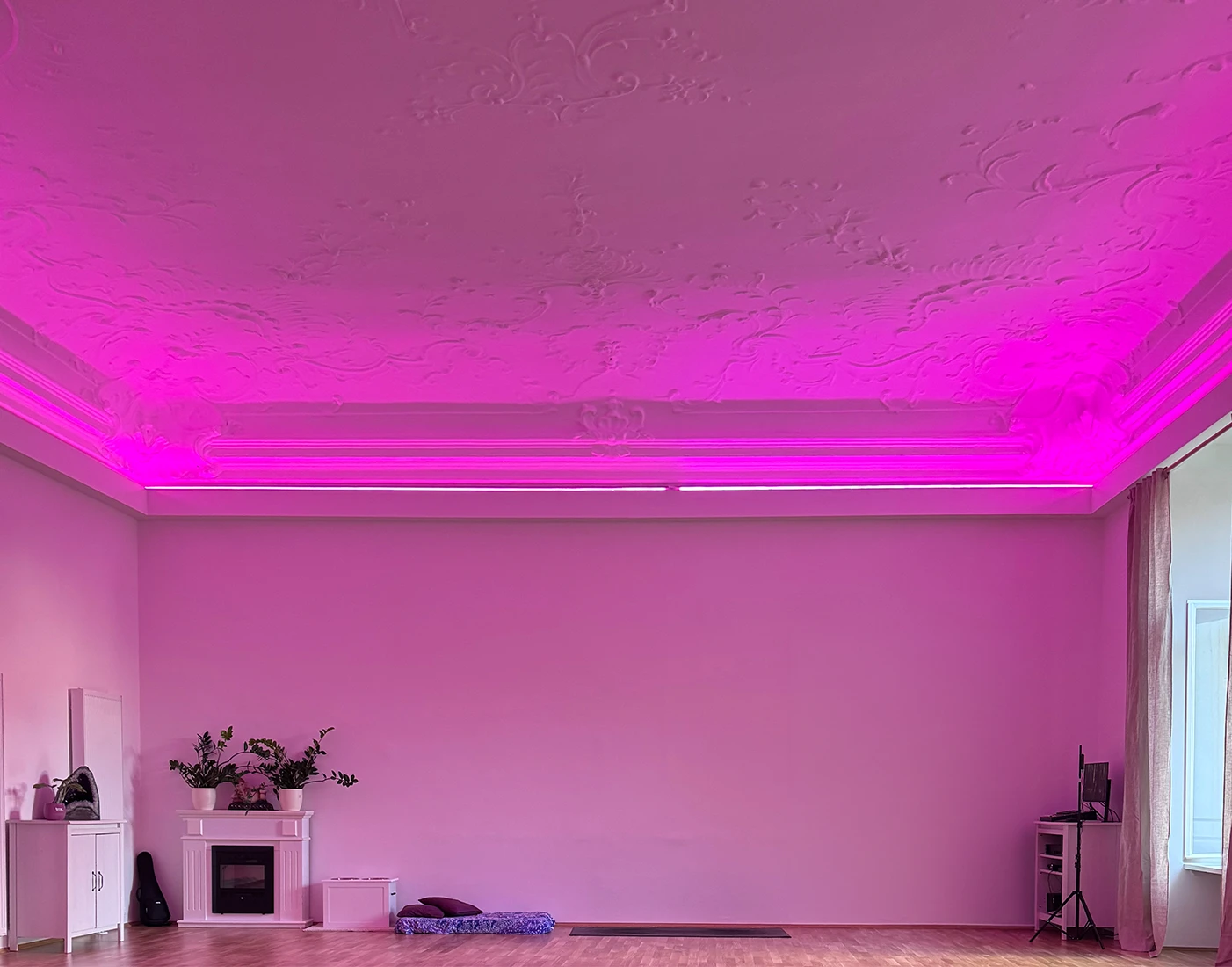 Helle, einladende Yogastudio-Atmosphäre mit pinker Beleuchtung und Pflanzen, perfekt für dein Yogaerlebnis. Wilkommen-mobile!